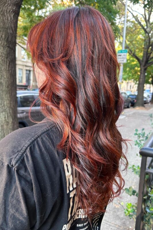 Woman with auburn brown hair and red highlights.