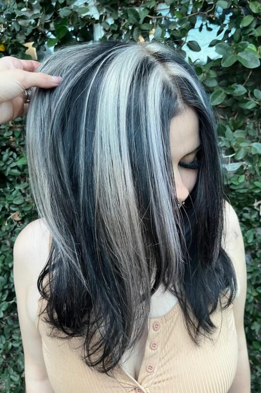 Woman with chunky white streaks on her black hair.