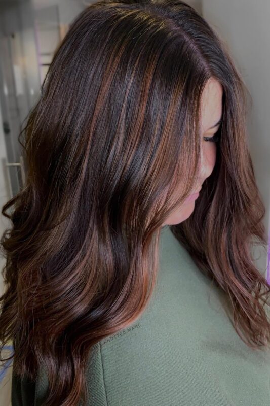 Woman with cinnamon highlights on dark brown hair.