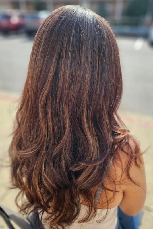 Woman with dark brown hair and auburn highlights.