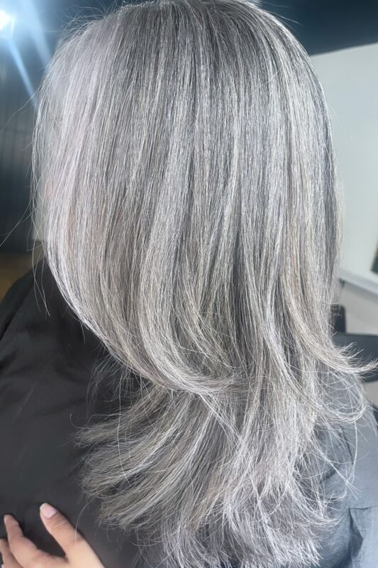 Dark hair gray blending with silver highlights for a refined, multi-dimensional look.